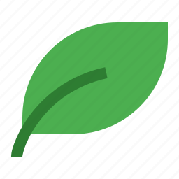 Leaf Icon